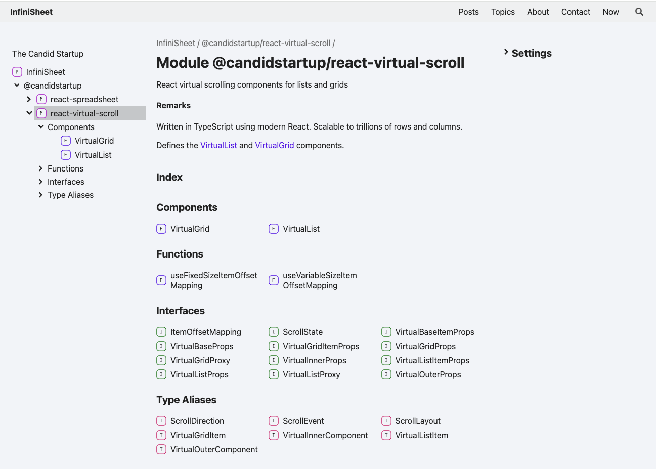 TypeDoc package page with customized content